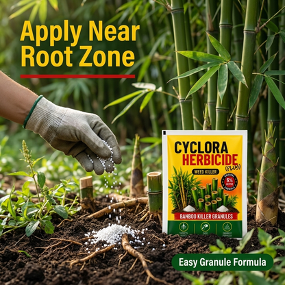 Take control of unwanted bamboo and weeds