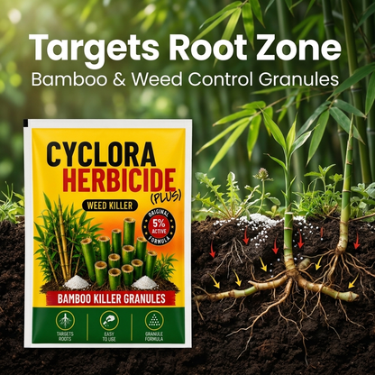 Take control of unwanted bamboo and weeds