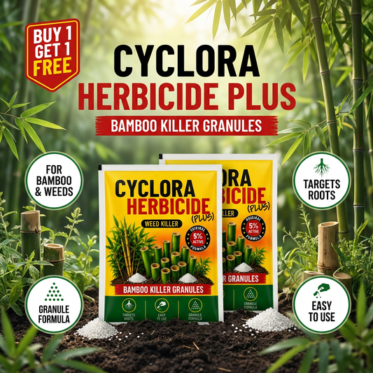 Take control of unwanted bamboo and weeds
